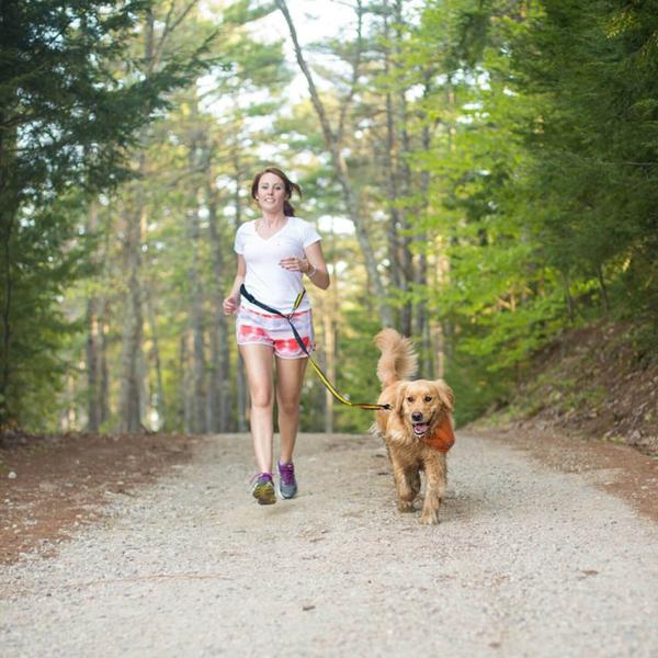 Kurgo Reflect & Protect Quantum Leash Black/Orange Kurgo Reflect & Protect Quantum Leash Black/Orange